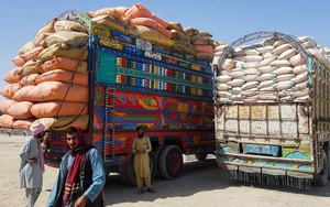 Tình hình Afghanistan: tiền tệ trượt giá, giá lương thực leo thang chóng mặt