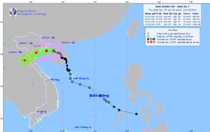Bão số 7 cách đảo Bạch Long Vĩ 100km, sẽ xuất hiện ngay bão số 8 trên Biển Đông