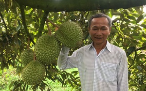 Kỷ niệm 91 năm thành lập Hội Nông dân Việt Nam: Hoạt động Hội đi vào thực chất, quan tâm đời sống nông dân