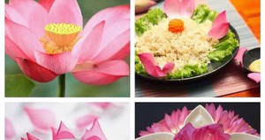 Những loài hoa là ẩm thực có lợi cho sức khỏe