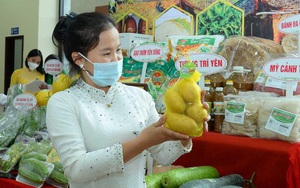 Vụ đông ở Bắc Giang: Trồng khoai tây Sao Thần Nông củ to bự, nông dân có "lương" 5,5 triệu đồng/tháng