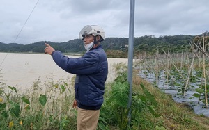 Lâm Đồng: Hồ thủy lợi Pró liên tục bị xâm lấn, tỉnh chỉ đạo kiểm tra