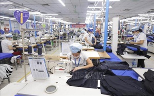 WB giảm dự báo tăng trưởng GDP năm 2021 của Việt Nam xuống còn từ 2 - 2,5%