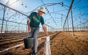 Công nghệ nông nghiệp Israel giúp nông dân Việt Nam và Đông Nam Á &quot;đổi đời&quot;