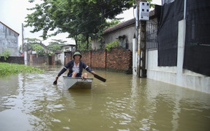 Clip: Cuộc sống người dân xã Tốt Động đảo lộn nghiêm trọng vì ngập lụt kéo dài
