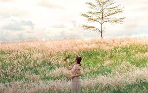 Gia Lai: Tháng 10 về đồi cỏ hồng đẹp mơ màng níu chân kẻ mộng mơ