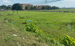 Huyện Thanh Oai để dự án "khủng" bỏ hoang nhiều năm, lãnh đạo HĐND Hà Nội nói gì?