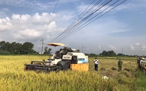 Hải Dương: 2 nông dân bị điện giật tử vong khi đang gặt lúa