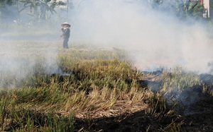 Bất ngờ: Thứ phụ phẩm sau mỗi mùa lúa bị đốt bỏ khói um cả làng, lên Amazon bán 100 USD/tấn