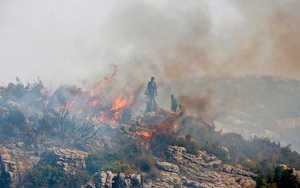 Syria xử tử 24 người vì đốt rừng, gọi đây là hành động &quot;khủng bố&quot;