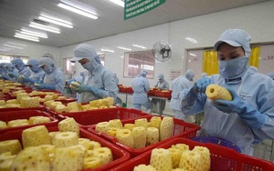 Việt Nam hướng tới nông nghiệp hữu cơ, nông nghiệp công nghệ cao