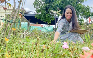 Bỏ phố Sài Gòn về quê Quảng Trị làm vườn, trồng hoa, cô gái 27 tuổi này được gì, mất gì?