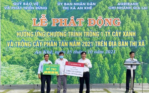 Agribank tài trợ giống cây xanh trị giá 1 tỷ đồng cho tỉnh Gia Lai trồng tại 17 huyện, thị xã, thành phố 