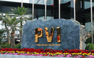 9 tháng đầu năm Tổng Giám đốc PVI Holdings lĩnh hơn 3,6 tỷ đồng tiền lương