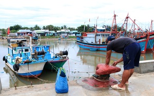 Ninh Thuận: Hàng nghìn thuyền đánh cá của ngư dân đang ở ngoài khơi vội vã vào bờ tránh áp thấp nhiệt đới