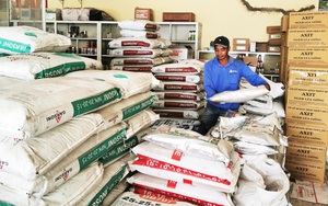 Giá phân bón tăng chóng mặt, nông dân đau đầu nghĩ cách ứng phó: Lo cho “vụ lúa ăn chắc”