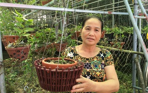 Thái Bình: Bà nông dân trồng hoa lan rừng mà thành tỷ phú, có giò hoa lan quý hiếm giá 200 triệu