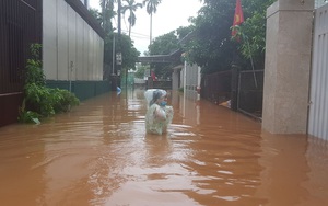 Quảng Trị: Mưa trắng trời, dân khốn khổ chạy lụt