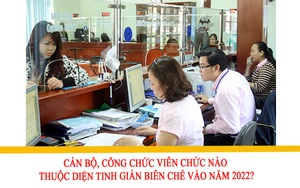 Cán bộ, công chức, viên chức nào thuộc diện tinh giản biên chế vào năm 2022?