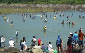 Video: Hồ Trị An xả lũ, dân săn cá trúng đậm