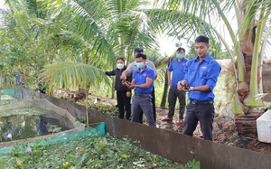 Đắk Lắk: Nuôi thành công loài ốc đặc sản chỉ ăn bèo, ăn lá cây, nhiều người kéo đến nhà anh trai làng để xem