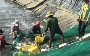 Khánh Hòa: Có vốn, cuộc sống dân nuôi tôm, cá… trở nên khấm khá