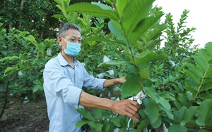 Tuyên Quang: Dân nơi này có bí quyết gì làm kinh tế mà thu nhập tăng vù vù, đạt 43,2 triệu đồng/người/năm?