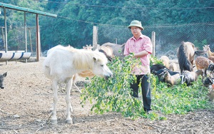 Nông nghiệp giữ vững kỳ tích giữa đại dịch Covid-19 (bài 2): Biến nguy thành cơ, nông dân Việt Nam chinh phục thị trường