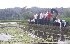 Thái Nguyên: Bổ sung vốn Quỹ Hỗ trợ nông dân, giúp nông dân làm giàu