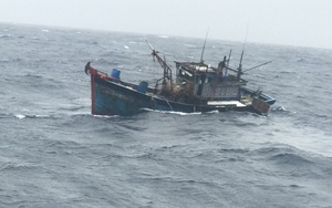 1 tàu chìm trong sóng biển cao 3m, Đà Nẵng cấm biển