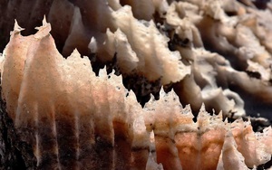 Ảnh: Vẻ đẹp của vòm muối lớn nhất Trung Đông