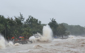 Bão số 7 chuyển hướng liên tục, gây mưa lớn ở Bắc Bộ và Trung Bộ