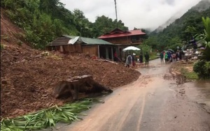 Nông thôn Tây Bắc: Mưa to gây đổ sập nhà, cuốn trôi 8 con trâu