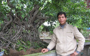 Hưng Yên: Trồng cây cảnh có "lộc" lớn, ngắm cây cảnh "Khủng long" giá 1 tỷ của một ông nông dân