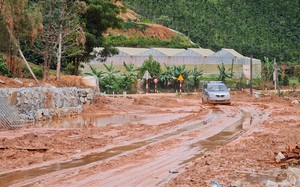 Lâm Đồng: Chịu 16 đợt mưa lớn, hàng chục vụ lốc xoáy, nông nghiệp tỉnh này "bị trôi" mấy chục tỷ đồng?