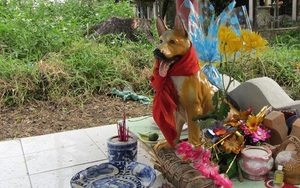Ly kỳ xung quanh việc thờ “Thiên cẩu” tại ngôi miếu thiêng xứ Huế