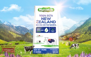 Nutifood độc quyền đưa 100% sữa New Zealand bò ăn cỏ tự nhiên về Việt Nam