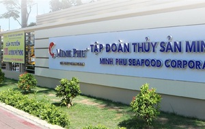 Thủy sản Minh Phú (MPC): Hàng tồn kho tăng gấp 1,5 lần, 9 tháng thực hiện được 56% kế hoạch