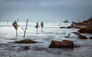 Sri Lanka với điểm đến du lịch ấn tượng "ngư dân câu cá trên cọc cà kheo"