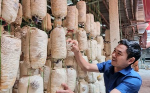 Thanh Hoá: Trồng nấm sò mọc tua tủa, một Chủ tịch Hội Nông dân xã thu hàng trăm triệu/năm