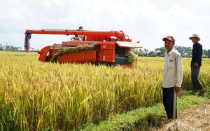 Quảng Nam: Hội viên nông dân được đào tạo về canh tác lúa thân thiện với môi trường