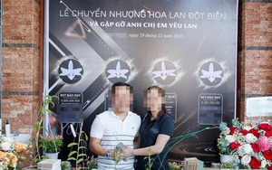 Hoa lan đột biến-thị trường im ắng lạ thường bởi kẻ ôm đống nợ, người vỡ mộng làm giàu nhanh như tên lửa