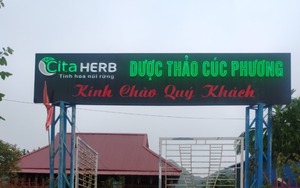 Nhiên Thảo Kim Hoa Trà là loại trà gì mà người mua rỉ tai nhau, sản xuất ra bao nhiêu bán hết veo bấy nhiêu?