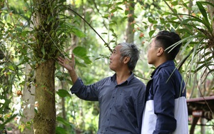 Xông đất ông nông dân &quot;khùng&quot;, 20 năm xây Khu bảo tồn hoa lan rừng lớn nhất Việt Nam giữa đại ngàn Tây Nguyên
