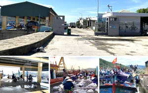 Quảng Ngãi: Đầu tư 32 tỷ đồng nâng cấp, sửa chữa hạ tầng cảng cá 