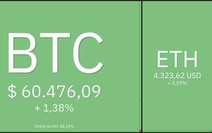 Giá Bitcoin hôm nay 18/11: Bitcoin cầm cự ở mức hỗ trợ, một số đồng Altcoin vốn hoá nhỏ ngược sóng