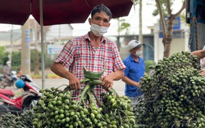 Đắk Lắk: "Cả làng" đổ xô đi trồng loại cây không cành này vì giá bán trái tươi tăng cao tới "nóc"