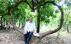 Ninh Thuận: &quot;Ngôi làng tĩnh tâm&quot; độc đáo trồng 500 cây sala lạ mắt mang hình dáng theo triết lý Phật giáo  