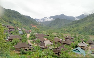 Nghệ An: Làng người Thái hơn 300 năm thơm phức mùi gỗ pơ mu giữa vùng lõi Khu bảo tồn thiên nhiên Pù Hoạt