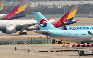 Việt Nam phê duyệt thương vụ sáp nhập Asiana Airlines của Korean Air